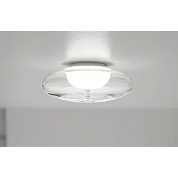 Luminaria de techo BLOO IP20, cristalino, mate, blanco opalino regulable