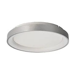 wall and ceiling luminaire MEROPE 40 IP20, silver