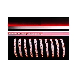 KapegoLED flexible LED stripe, 5050-60-24V-RGB-5m