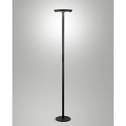 floor lamp FIZZ CCT Switch, direct / indirect, with touch dimmer IP20, anthracite dimmable
