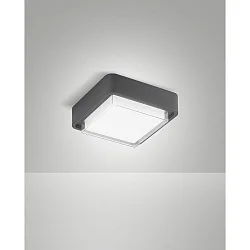 outdoor ceiling luminaire DIUK IP65, dark grey