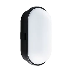 LED Wall / Ceiling luminaire TOLEDO Outdoor luminaire, 10W, 4000K, 700lm, IP65, black