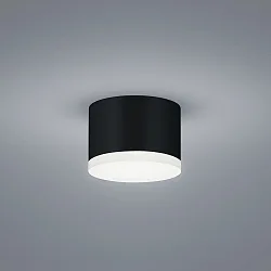 ceiling luminaire PALA IP30, satined, black matt dimmable