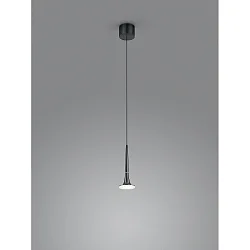 Luminaria colgante FLUTE de 1 llama IP20, satinado, cromo negro regulable