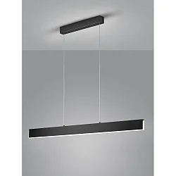 Luminaria colgante NEX IP20, satinado, negro mate regulable