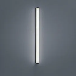 bath luminaire PONTO IP44, black matt, white 