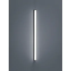 bath luminaire PONTO IP44, black matt, white 