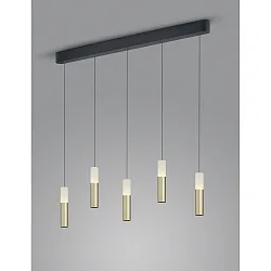 Luminaria colgante LIDOS de 5 llamas, directo / indirecto IP20, negro mate regulable