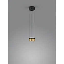 pendant luminaire ODA IP20, gold, black dimmable