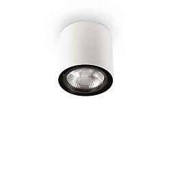 Downlight MOOD ROUND QPAR111, Ø 15cm, incl. GU10 50W 2700K, pivotable