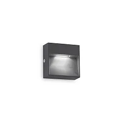 outdoor wall luminaire DEDRA IP65, anthracite 