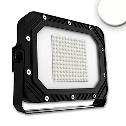 Luz de inundación giratorio, regulable IP66, negro regulable