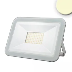 Luz de inundación PAD 50W grande, giratorio, conmutable IP65, blanco 