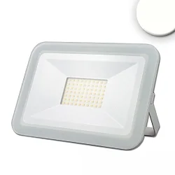 Luz de inundación PAD 50W grande, giratorio, conmutable IP65, blanco 