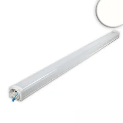 Luminaria lineal PROFESSIONAL controlable por DALI, 3 polos, a prueba de golpes IP66