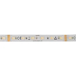 LED Strip 5050 RGB+WW/CW SMD - 2M / 12MM RGBW white