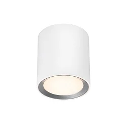 bath luminaire LANDON LONG IP44, white dimmable