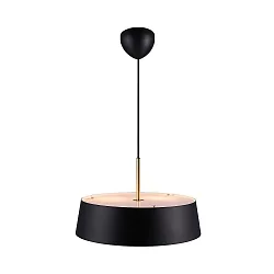 pendant luminaire CLASI 45 E27 IP20, black matt dimmable