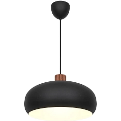 Luminaria colgante AURELIO E27 IP20, negro regulable