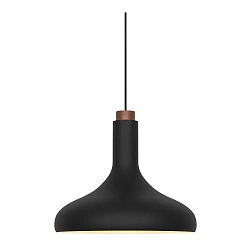 Luminaria colgante FUJI E27 IP20, negro regulable
