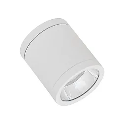 outdoor ceiling luminaire DL SURFACE IP65 DN 90 P 15W 830 36D WT cylindrical, surface-mounted version IP65/IP65, white