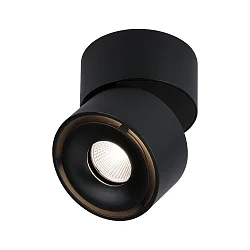 spot SPIRCLE LED rotatable, tiltable IP20, black matt 