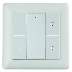 Interruptor de pared de la radio 2 ZONE RF SINGLE COLOUR 2 canales, con salida de señal de radiocontrol (RF), blanco