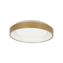 ceiling luminaire RINGLEDE IP20, gold dimmable