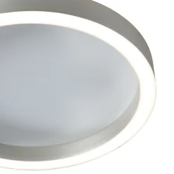 Luminaria de techo RINGLUX de 2 llamas IP20, acero regulable