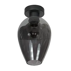 ceiling luminaire BLOEBA E27 IP20, dimmable