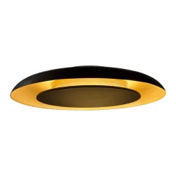ceiling luminaire GOLDEN VEIL 2 flames IP20, black dimmable
