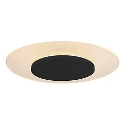 Luminaria de techo LIDO grande, redondo, indirecta, perforado IP20, negro mate regulable