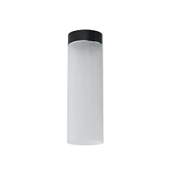 Luminaria de techo DELA BOX cilíndrico, directo / indirecto E27 IP20, negro mate regulable