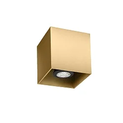spot BOX CEILING SURF 1.0 PAR16 GU10 IP20, champagner 