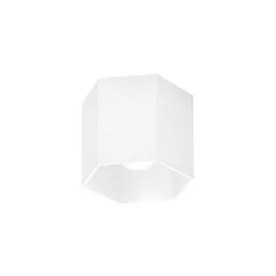 Luz downlight HEXO 1.0 - PAR16 de 1 llama, angular, sin reflector GU10 IP20, mate, blanco tráfico regulable