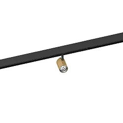 Proyector para raíl CENO ON STREX 1.0 con adaptador IP20, champán, negro mate regulable