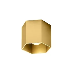 ceiling luminaire HEXO CEILING SURF 1.0 1 flame, DALI controllable IP20, gold dimmable