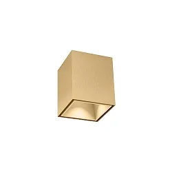 Luz downlight BOX MINI 1.0 angular, versión de montaje en superficie IP20, champán regulable