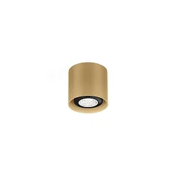 spot RAY MINI CEILING SURF 1.0 PAR16 GU10 IP20, champagner dimmable