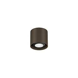 spot RAY MINI CEILING SURF 1.0 PAR16 GU10 IP20, bronze 