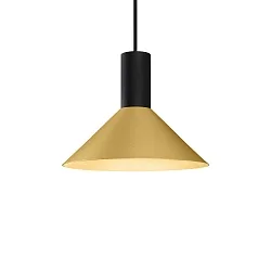 pendant luminaire ODREY CEILING SUSP 1.6 PAR16 GU10 IP20, gold, black matt 