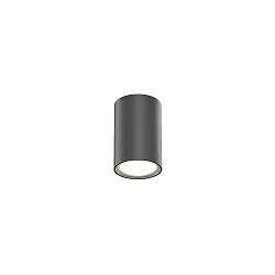 Luminaria de techo para exteriores TRAM 1.0 abajo, cilíndrico, regulable IP65, antracita mate regulable