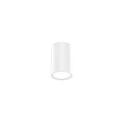 Luminaria de techo para exteriores TRAM 1.0 abajo, cilíndrico, regulable IP65, blanco mate regulable