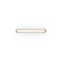 outdoor wall luminaire RIBELLE IP65 OUTDOOR 1.0 IP65, champagner dimmable