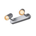 SLV Luminaria de techo NOBILO II LED de 2 llamas, cil�ndrico, giro card�nico, gris plateado regulable
