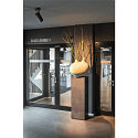 SLV Luminaria de techo NUMINOS SPOT DALI L controlable por DALI IP20, negro regulable