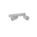 SLV Luminaria de pared y techo PURI 2.0 - TUBE de 2 llamas, asim�trico GU10 IP20, gris regulable