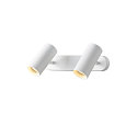 SLV Luminaria de pared y techo NOBLO� DOUBLE PHASE de 2 llamas, redondo IP20, blanco regulable