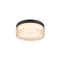 SLV Luminaria de pared y techo CYFT WAVE XL IP65, negro, barnizado regulable