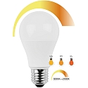 HWH Filamento luminoso en forma est�ndar A60 CCT Switch, regulable E27 10W 806lm 3000-2000K 200� CRI > 80 regulable